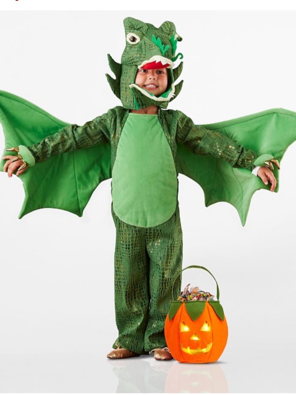 Pottery Barn Kids Green Dragon Costume Size 2T